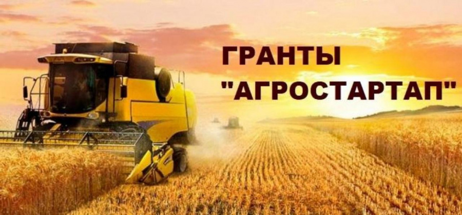 Объявление о проведении конкурсного отбора заявителей   по признанию участниками мероприятий по созданию и (или) развитию хозяйств («Агростартап») 