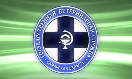  ГРИПП ПТИЦ 