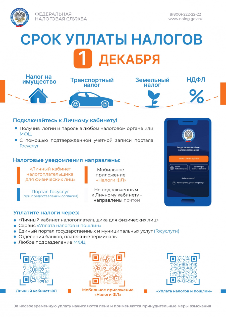 Срок уплаты налогов до 1 декабря 2025