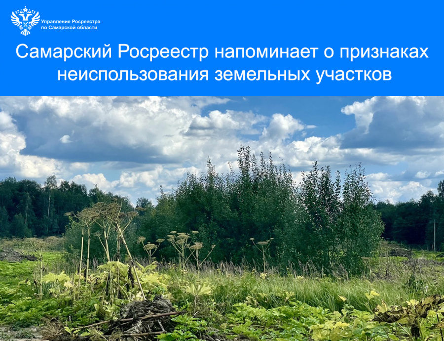 Самарский Росреестр напоминает о признаках неиспользования земельных участков Самарский Росреестр напоминает о признаках неиспользования земельных участков