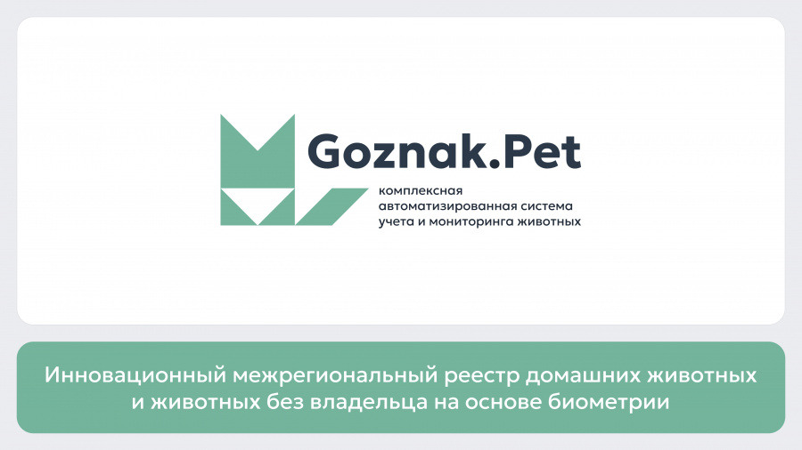 Инновационный межрегиональный реестр домашних животных и животных без владельца на основе биометрии