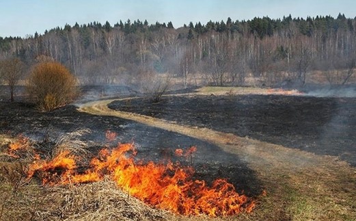 ПАЛ СУХОЙ ТРАВЫ ОПАСЕН!