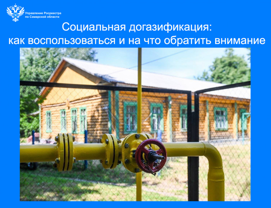 Социальная догазификация: как воспользоваться и на что обратить внимание Социальная догазификация: как воспользоваться и на что обратить внимание