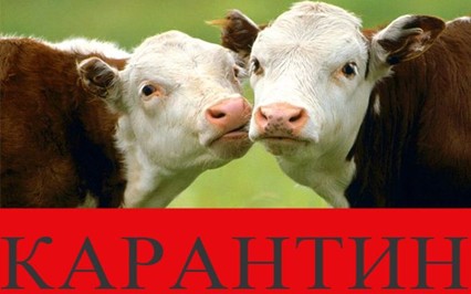 Рисунок4.jpg