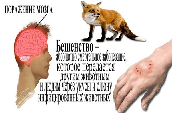 Рисунок20.jpg