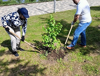 Подрастает Роща Росреестра