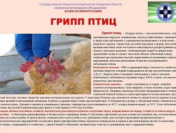   Государственное бюджетное учреждение Самарской области  «Самарское ветеринарное объединение»  Важная информация!