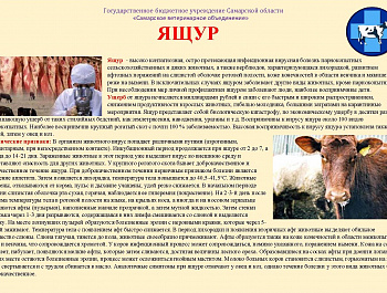 Памятки
