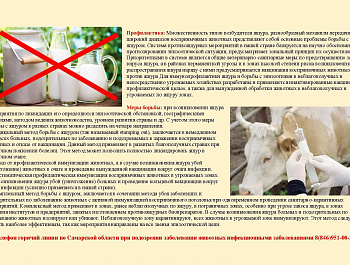 Памятки