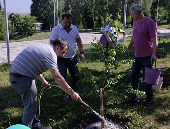 Зазеленела Роща Росреестра