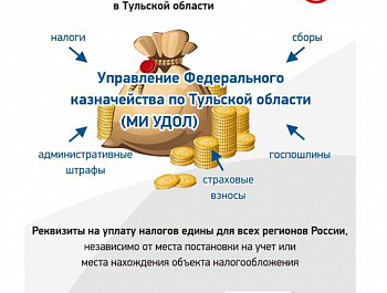 Управление Федеральной налоговой службы по Самарской области:  разбираемся в новом способе оплаты налогов